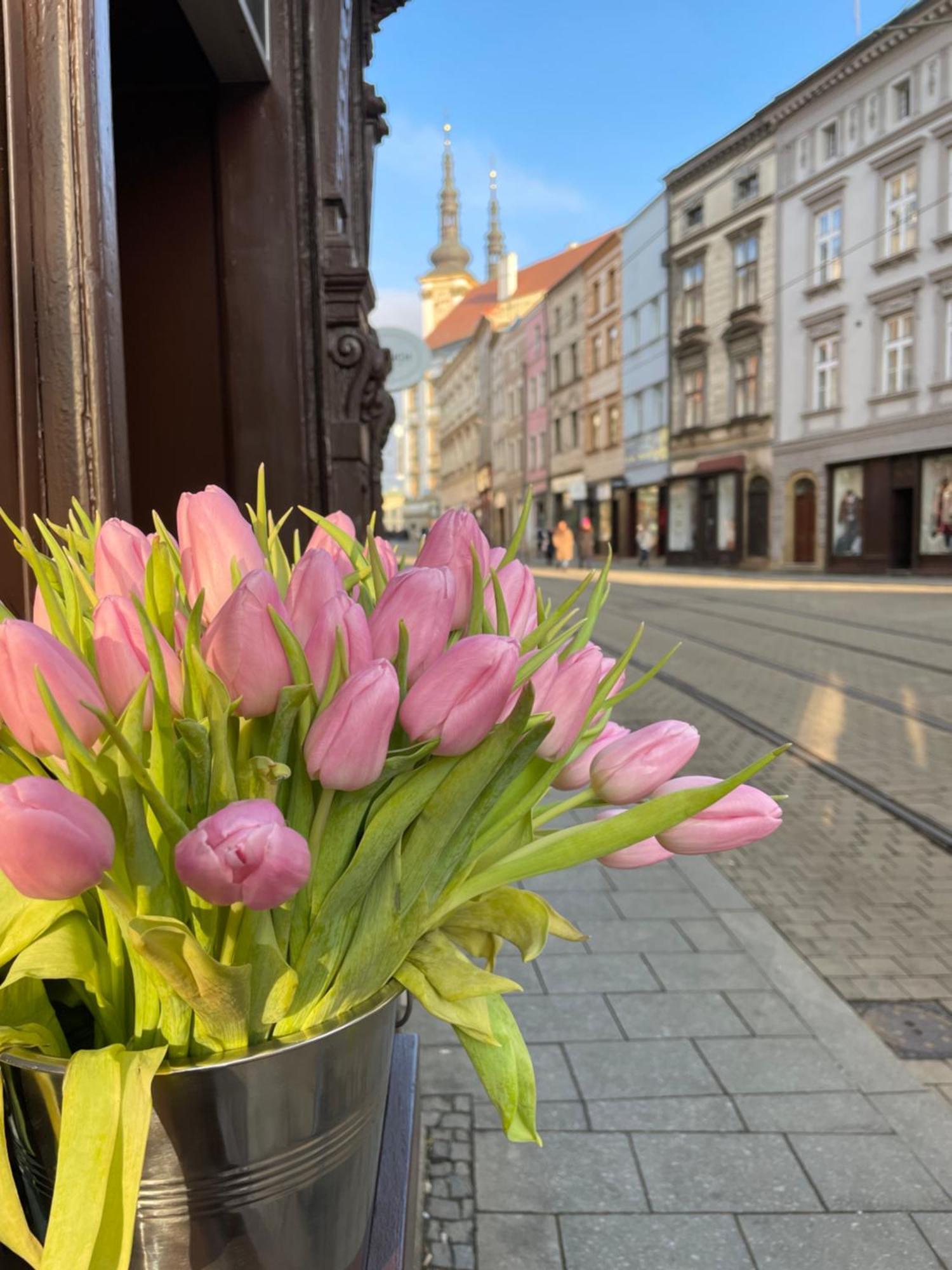 Pension Moravia Оломоуц Екстер'єр фото